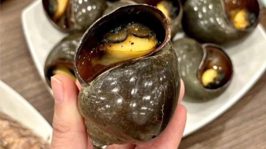 Ăn ốc bươu ngâm "thủy tinh lỏng" độc hại thế nào?