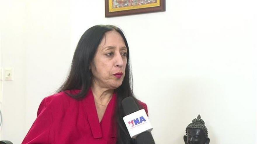 Political stability enables Vietnam to sustain high growth momentum: Scholar