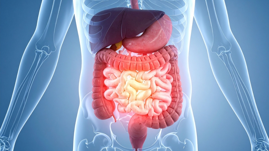 Làm gì để có thể khôi phục sinh lý nam nhanh nhất sau khi phẫu thuật trực tràng