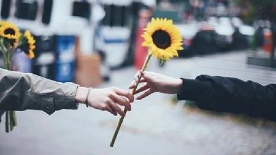 Bình yên là khi biết đủ, sống tử tế và nhẹ lòng