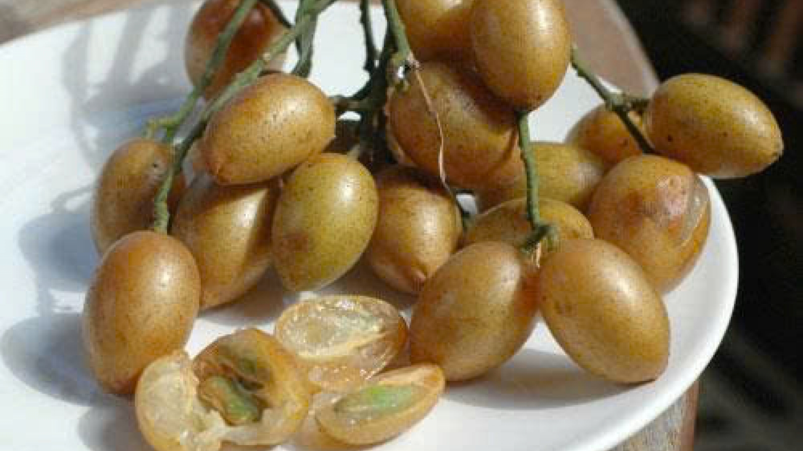 Quất hồng bì: Loại quả nhỏ nhưng “giấu” nhiều công dụng ít người biết