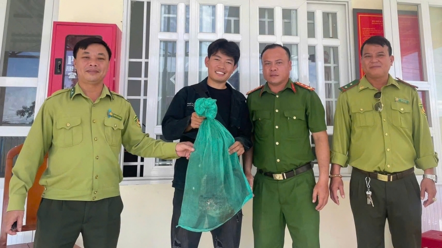 Two rare, endangered animals released back into the wild in Lam Dong