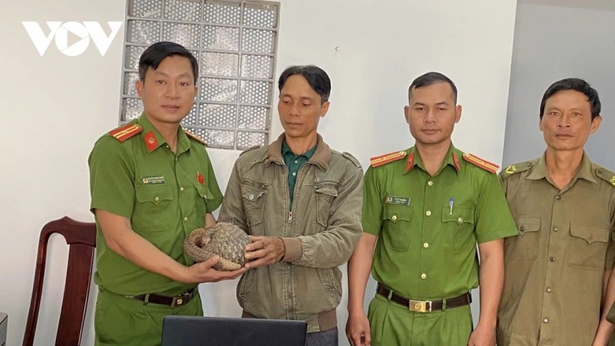 Rare Sunda pangolin handed over after wandering into local home