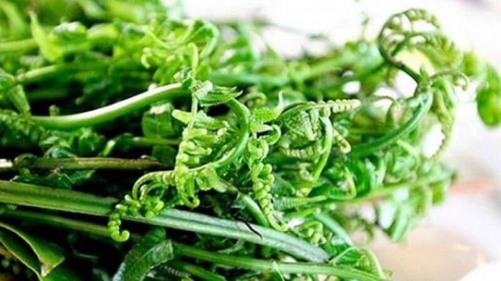 Món rau dân dã nơi núi rừng và những công dụng khiến nhiều người bất ngờ