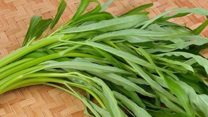 Rau muống - món rau rẻ tiền nhưng giá trị dinh dưỡng không hề “rẻ”