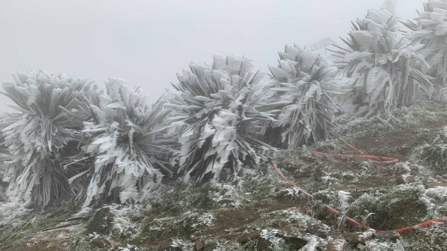 Không khí lạnh tăng cường, miền Bắc chuyển rét trong ngày đầu năm mới 2026