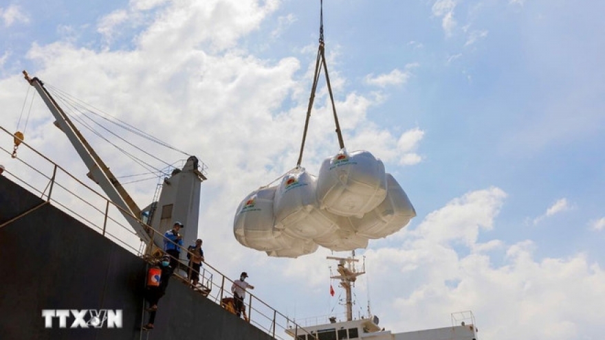 Vietnam exports over 8 million tonnes of rice in 2025