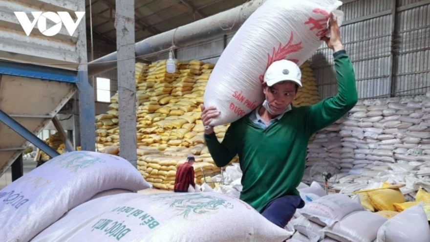 Vietnamese rice shipments pick up after Philippines reopens imports
