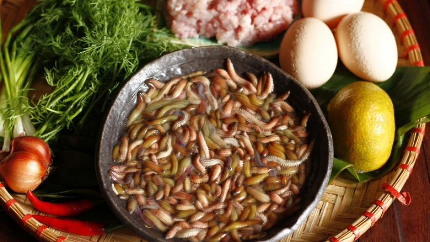 Rươi - món ăn hiếm mỗi năm chỉ có một mùa, tốt đến mức nào cho cơ thể?