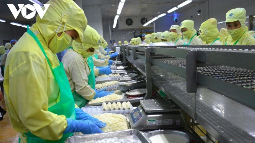 China spends US$1.23 billion on Vietnamese shrimp in 2025