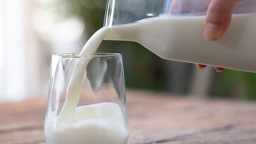 Điều gì xảy ra với cơ thể nếu bạn uống sữa tươi mỗi ngày?