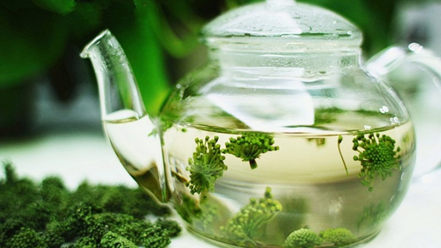 Nụ hoa tam thất: Công dụng không ngờ cho sức khỏe