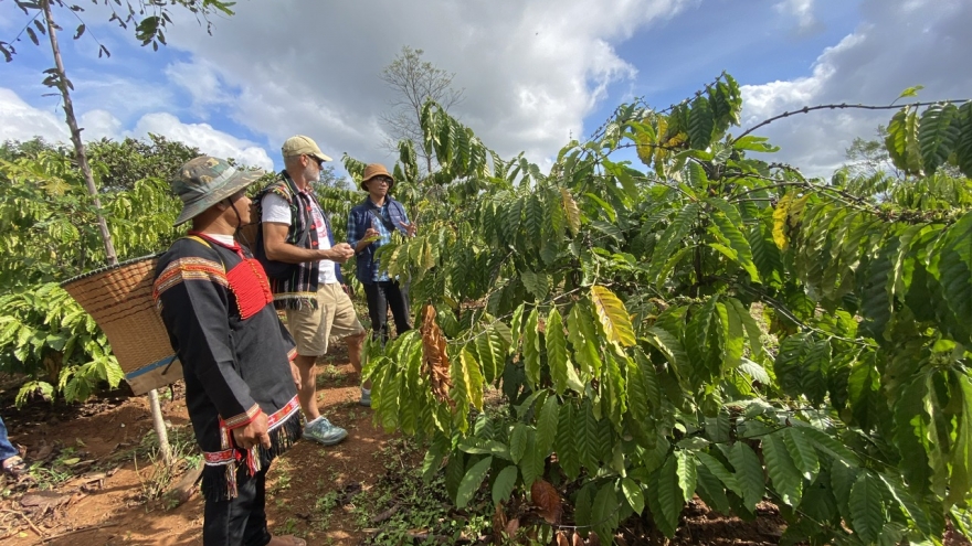 Đồng bào Tây Nguyên kiến nghị Đại hội có quyết sách mạnh mẽ cho miền núi, vùng sâu
