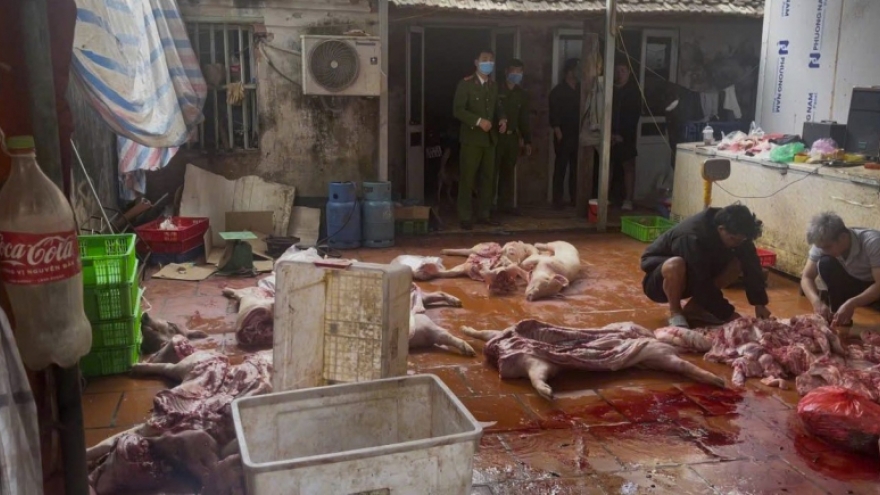 Khởi tố 6 đối tượng trong đường dây tiêu thụ lợn chết, lợn nhiễm dịch tả châu Phi