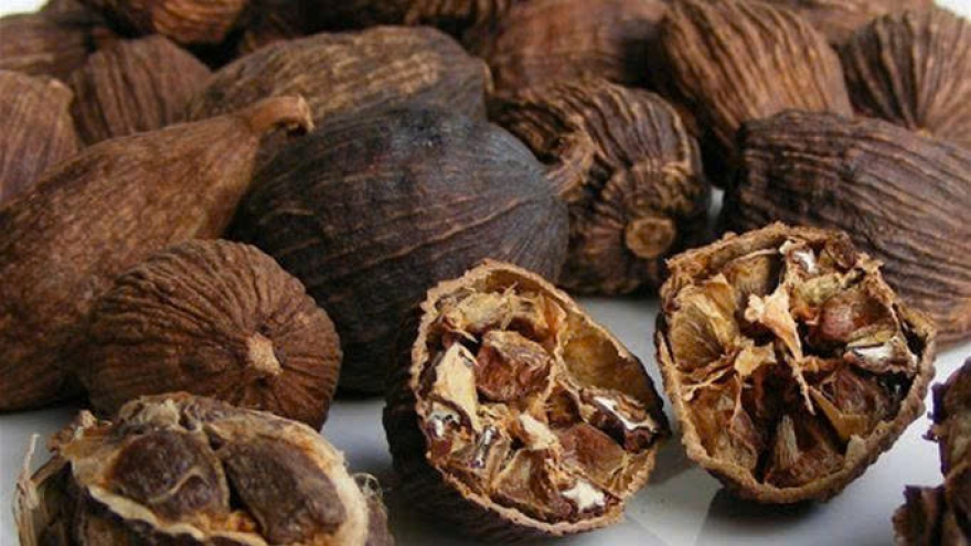 Thảo quả có gì đặc biệt mà vừa là gia vị, vừa là dược liệu?