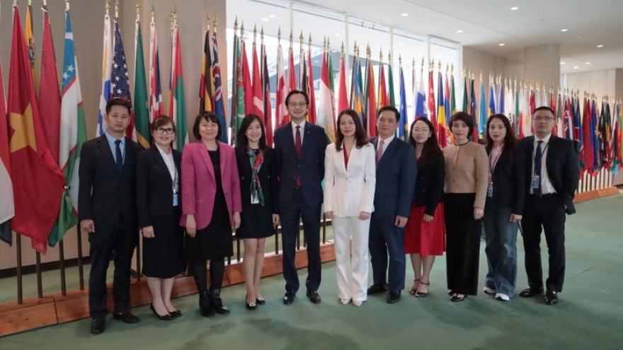 Chinese scholar praises Vietnam’s proactive and balanced foreign policy