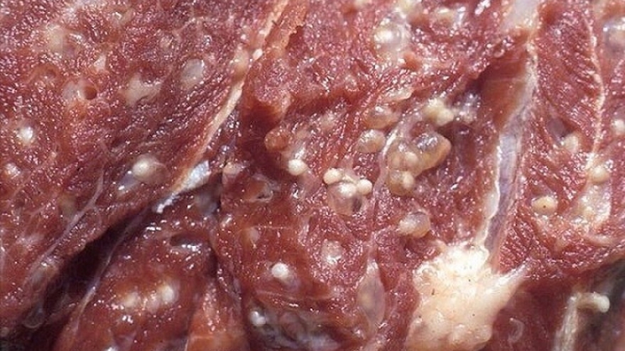 Đi chợ mua thịt bò, thấy dấu hiệu này nên bỏ ngay kẻo nhiễm sán