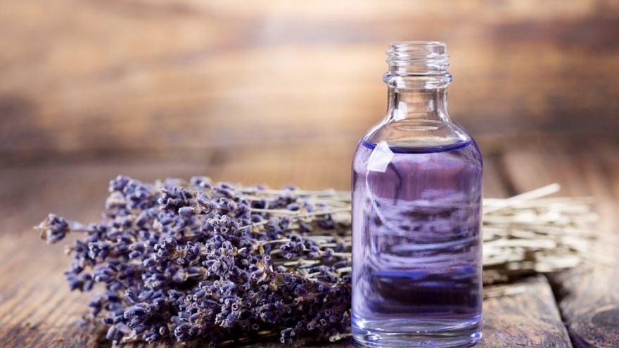 Vì sao tinh dầu lavender được xem là “thần dược” cho sức khỏe và làn da?