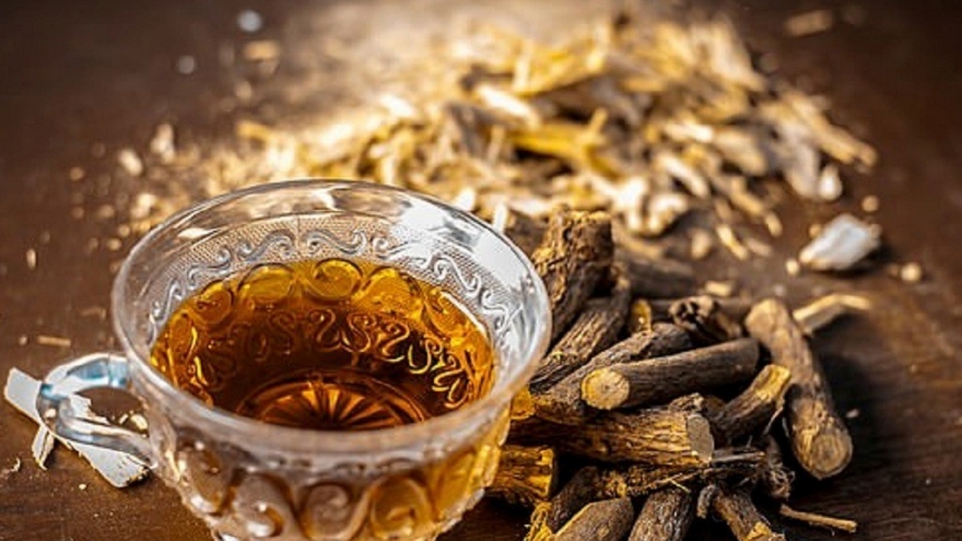 Loại cây khô ngọt như đường là vị thuốc quý, Việt Nam có nhiều lại ít được chú ý