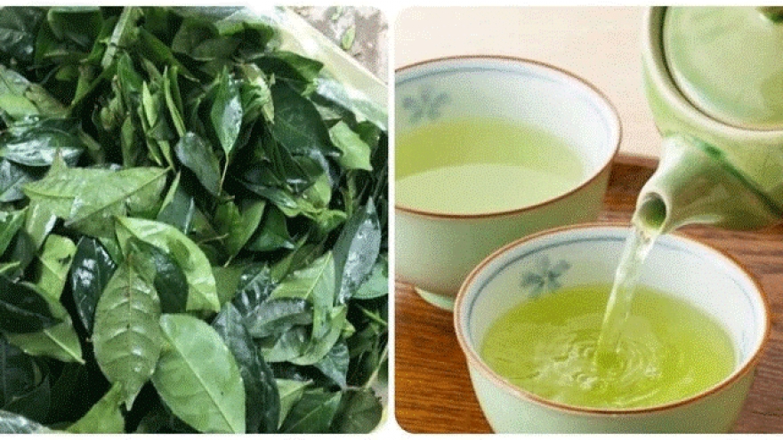 Uống trà xanh tác động đến huyết áp ra sao?