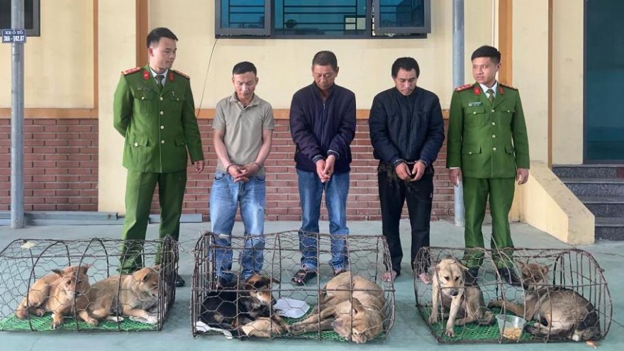 Bắt nhóm đối tượng chuyên mang hung khí đi trộm chó