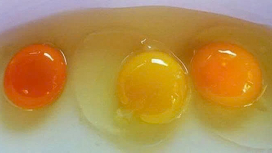 Đập trứng gà ra bát thấy lòng đỏ đậm và nhạt khác nhau, loại nào nhiều chất hơn?