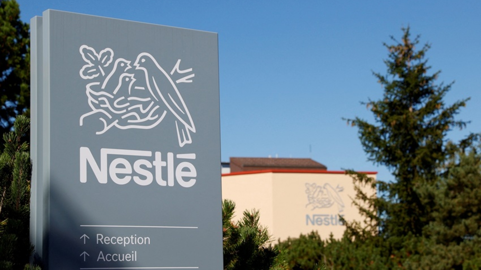 Indonesia thu hồi sữa Nestlé dành cho trẻ sơ sinh do lo ngại độc tố cereulide