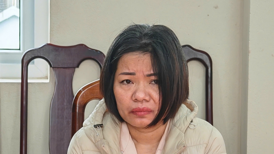 Vụ nữ giúp việc hành hạ cụ bà 82 tuổi: Nạn nhân bị gãy xương sườn