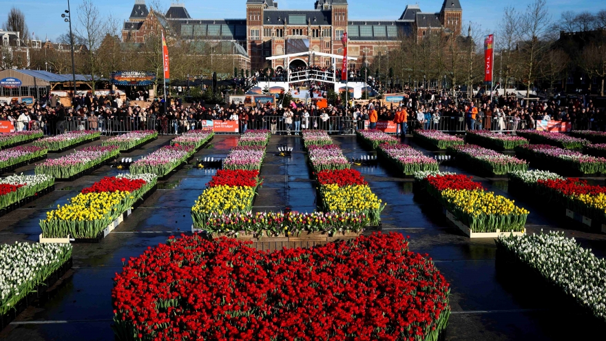 Tưng bừng Ngày hoa Tulip quốc gia lần thứ 13 tại Hà Lan