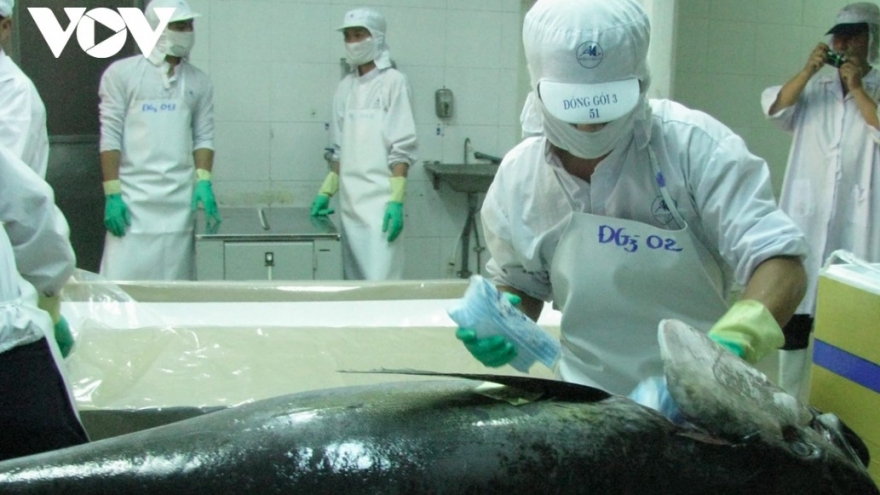 Tuna exports to Canada maintain growth momentum despite fluctuations