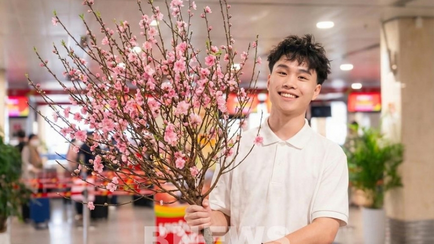 Vietjet to transport apricot, peach blossoms on Lunar New Year occasion