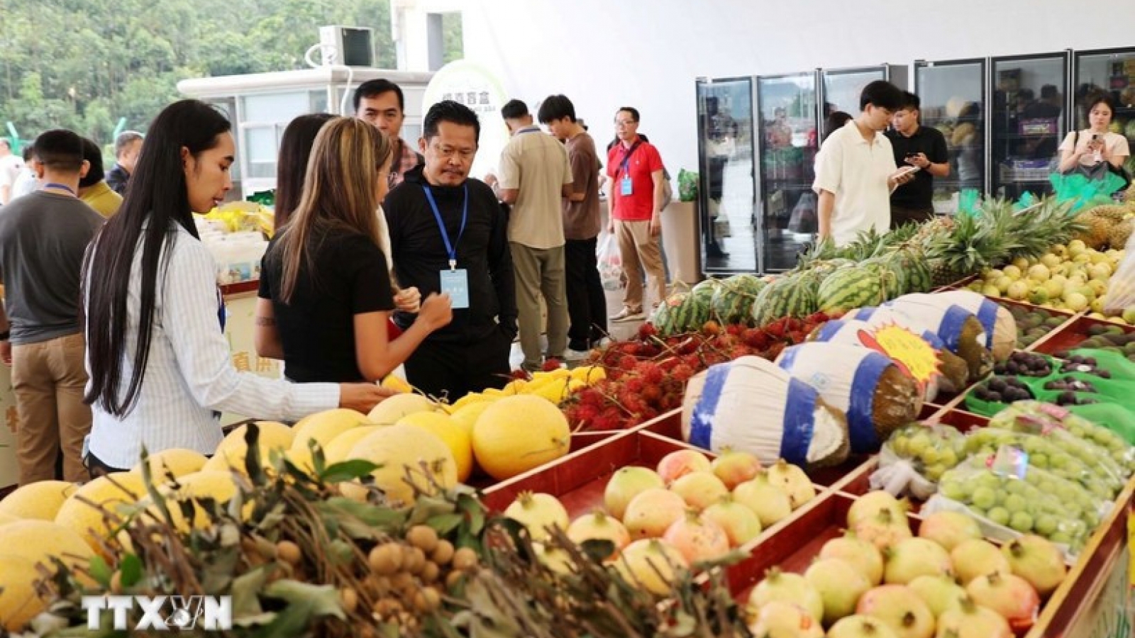 Vietnam – China economic, trade cooperation becomes close, complementary: expert