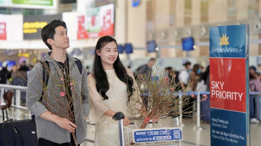 Vietnam Airlines to carry Tet peach and apricot branches on domestic flights