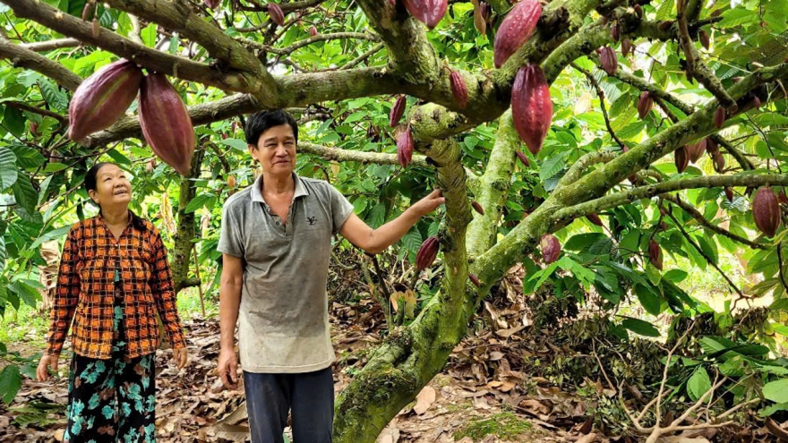 Vĩnh Long phát lệnh trữ nước ngọt toàn tỉnh trước nguy cơ mùa khô mặn xâm nhập