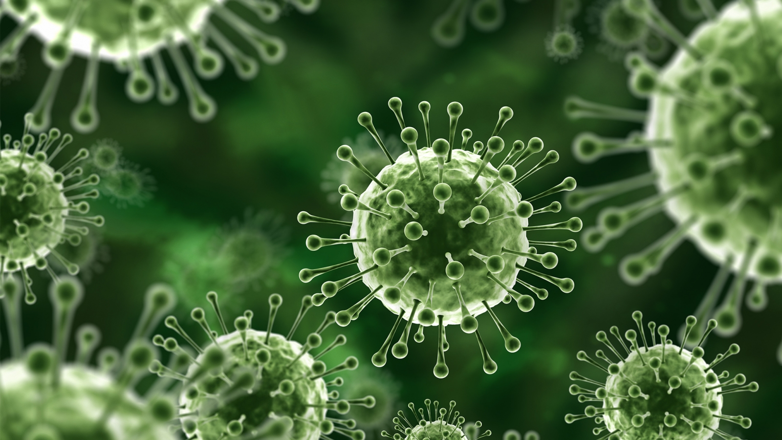 TP.HCM tăng cường giám sát y tế người nhập cảnh để phòng dịch Nipah