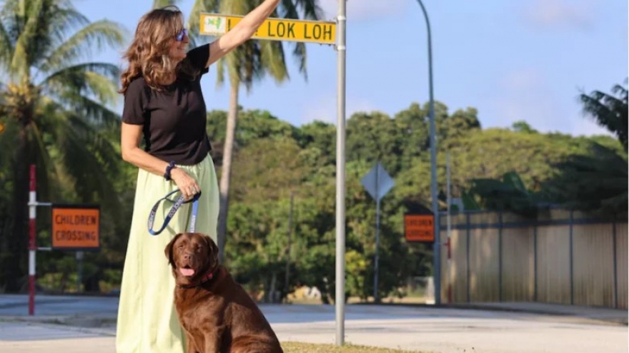 Chuyện thú vị về chú chó duy nhất trên đảo Giáng sinh