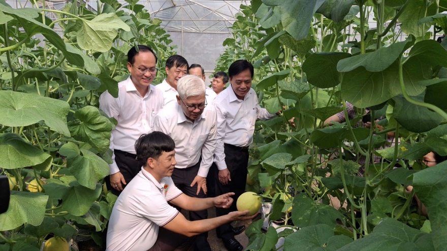 Hướng về Đại hội XIV: Kỳ vọng cơ chế thoáng để nông nghiệp cất cánh