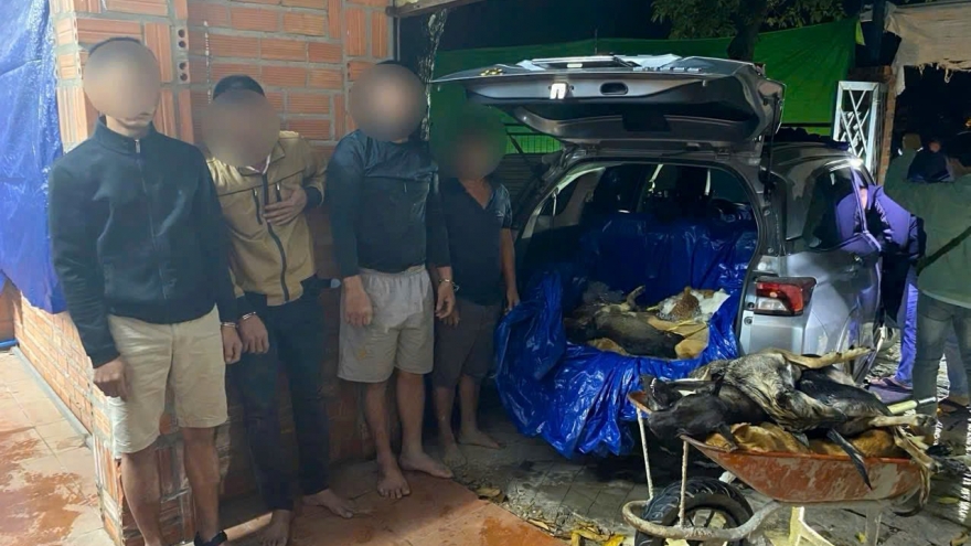 Công an Tây Ninh tập kích 2 điểm giết mổ, tiêu thụ chó trộm cắp