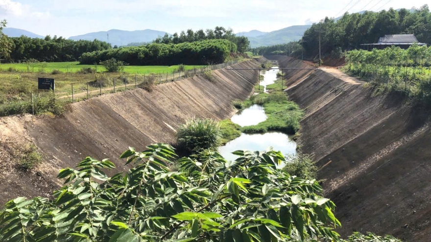 Quảng Ngãi phạt 700 triệu đồng Công ty Thủy điện Sông Liên vì vi phạm đất đai