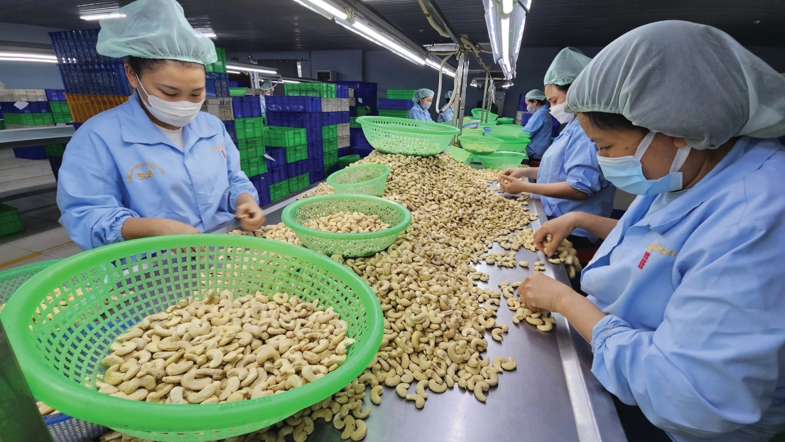Đầu năm 2026 xuất khẩu điều “bùng nổ”