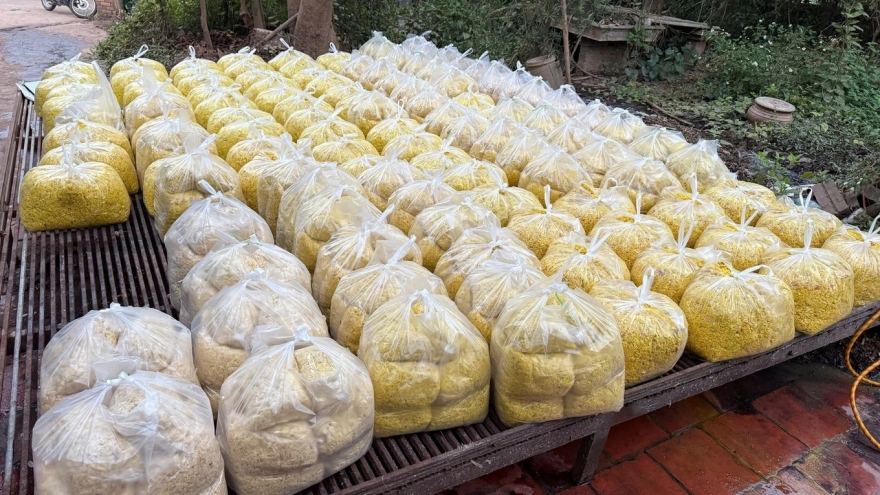 Phát hiện cơ sở ở Bắc Ninh trộn hóa chất cấm để chế biến riềng xay