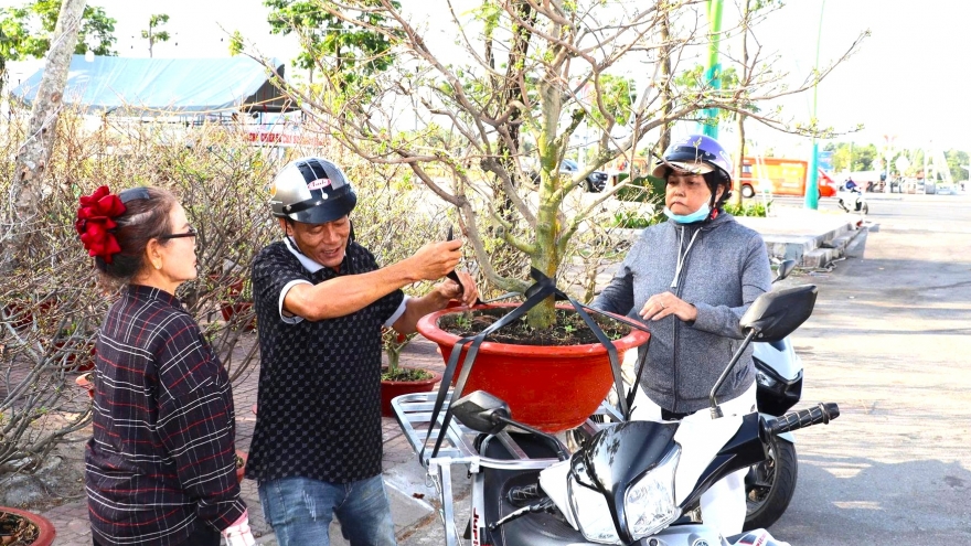 Rộn ràng chợ hoa kiểng và dưa hấu Tết ở Cà Mau