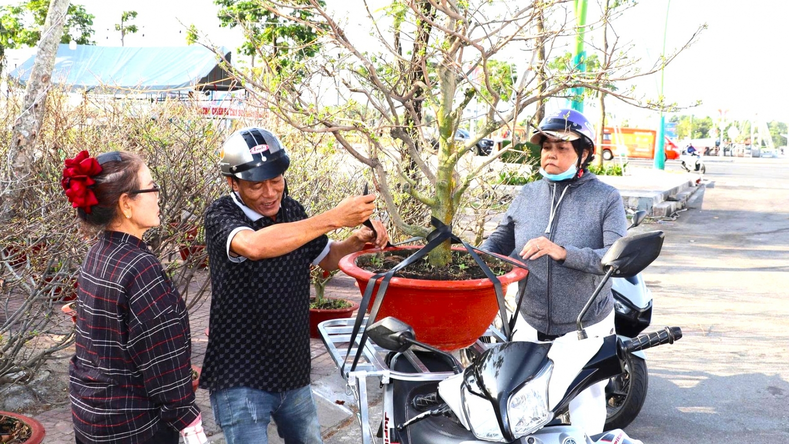 Rộn ràng chợ hoa kiểng và dưa hấu Tết ở Cà Mau