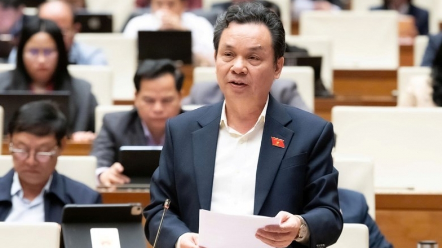 Lá phiếu hôm nay, tương lai ngày mai