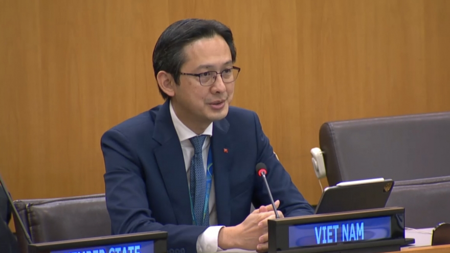 Việt Nam đánh giá cao vai trò của UNDP trong hợp tác vì phát triển bền vững