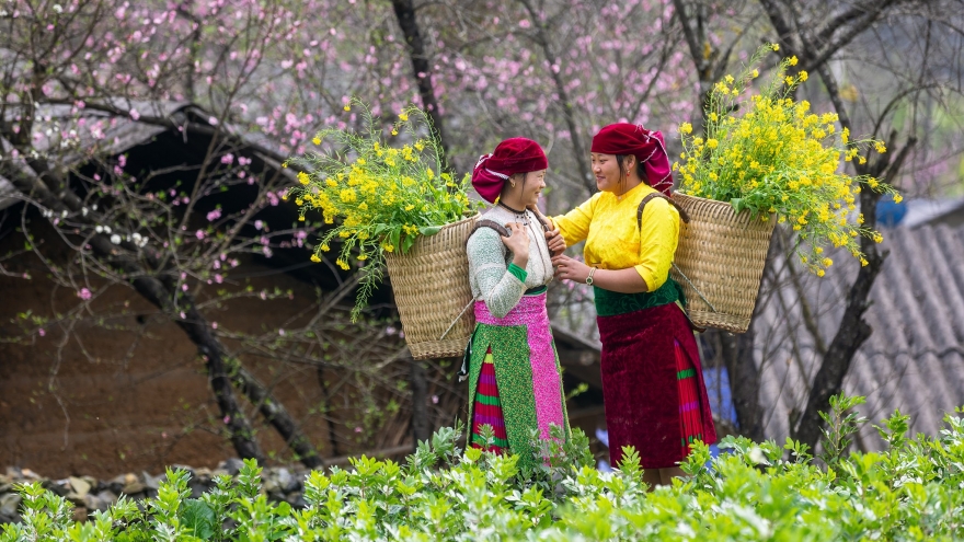 Nghe "Mùa xuân đầu tiên" để thấy mùa bình thường cũng hóa thiêng liêng
