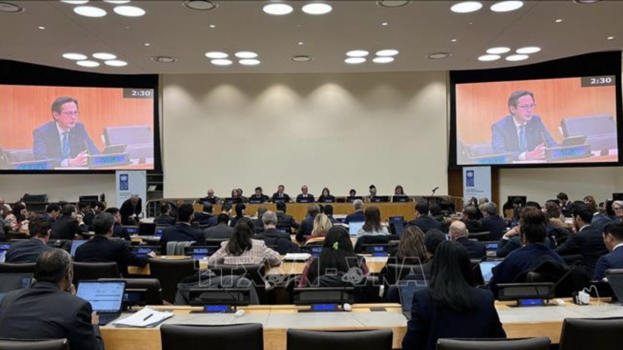 Vietnam praises UNDP’s role in cooperation for sustainable development