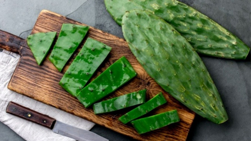 Xương rồng nhiều nhà chỉ trồng làm cảnh, dùng đúng cách bổ gan lại ngừa lão hóa