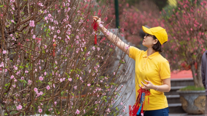 Hanoi’s largest spring flower festival opens to visitors