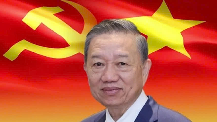Vietnam moves forward steadfast under Party banner, Party chief says